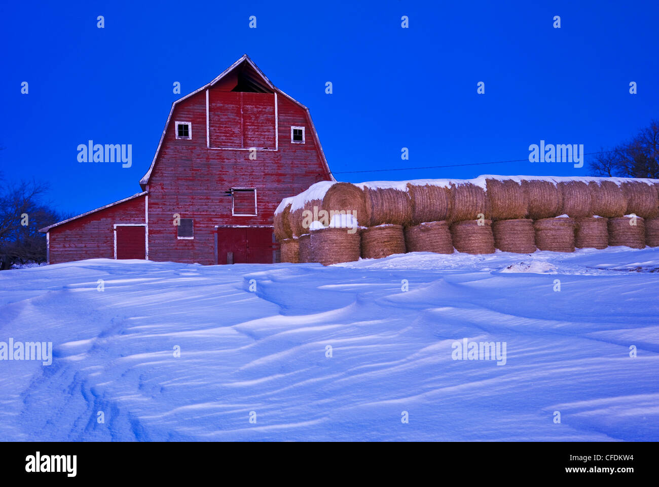 Il vecchio fienile e rotonde balle di fieno, vicino a Bruxelles, Manitoba, Canada Foto Stock