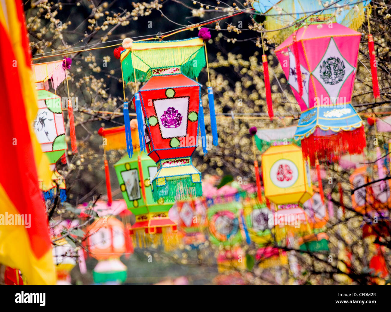 Variopinte lanterne artigianali appendere da alberi in un parco durante il Nuovo Anno Cinese Festa della Primavera, Chengdu Sichuan, Cina Foto Stock