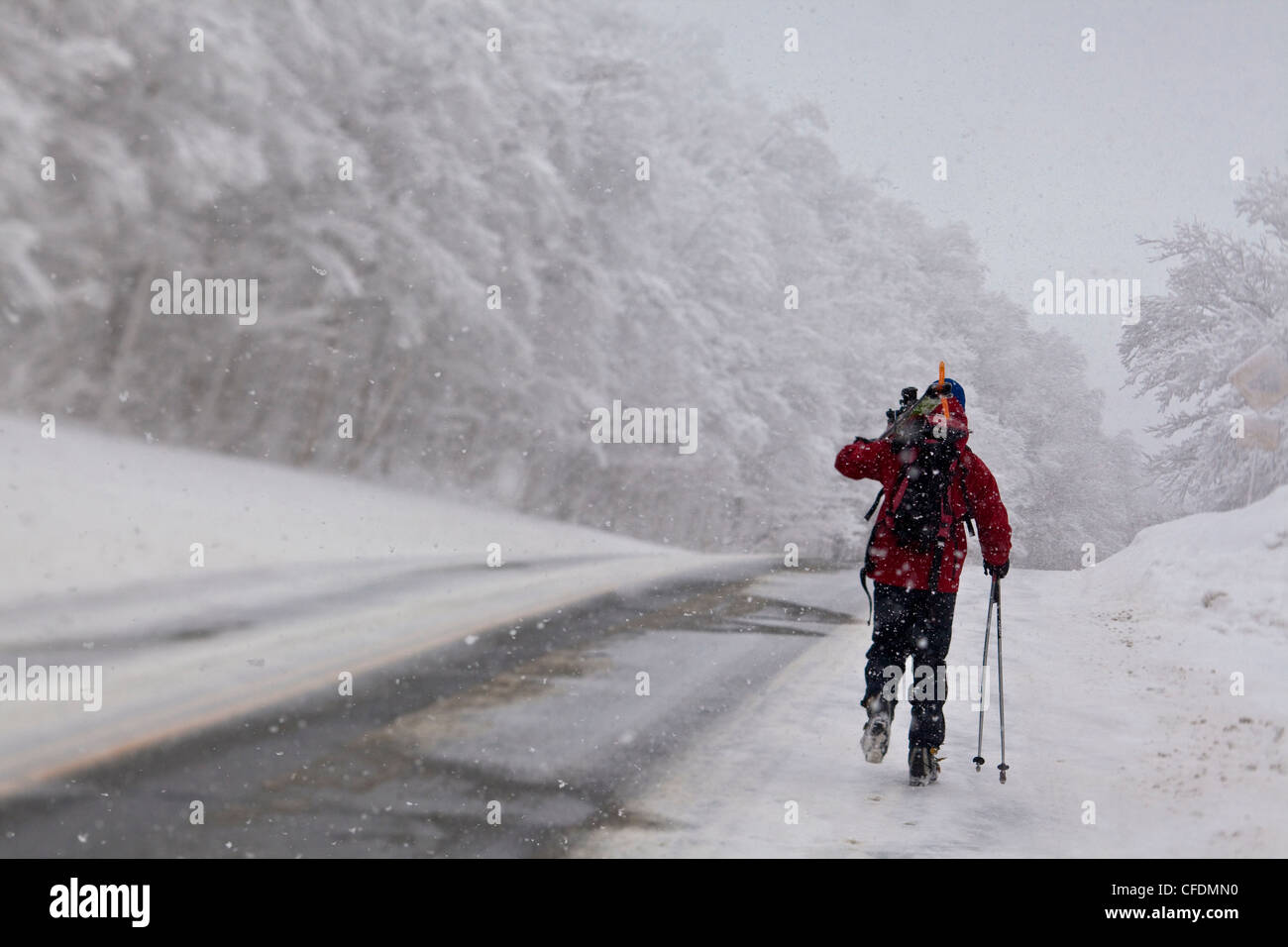 Un uomo camminare indietro da una giornata di sci backcountry JayPeak backcountry, Vermont, Stati Uniti d'America Foto Stock