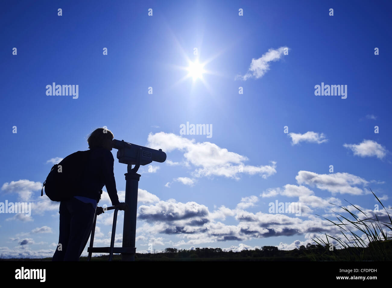 Donna che guarda attraverso un telescopio, bird watching, erboso si restringe Marsh, Hecla Isola Parco Provinciale, Manitoba, Canada. Foto Stock