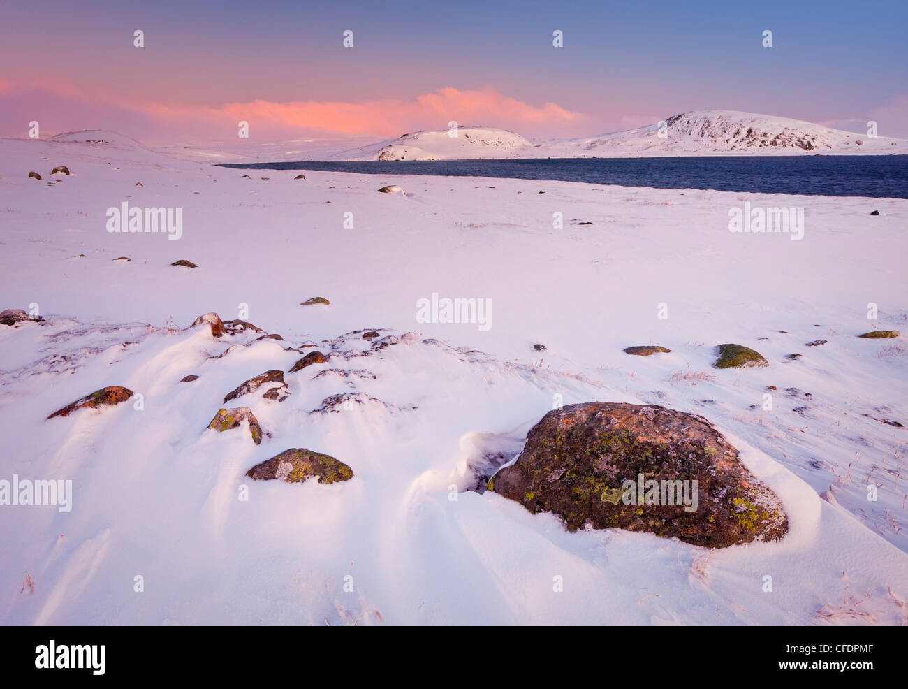 Parco Nazionale di Hardangervidda in inverno, paesaggi innevati, Hordaland, Norvegia Foto Stock