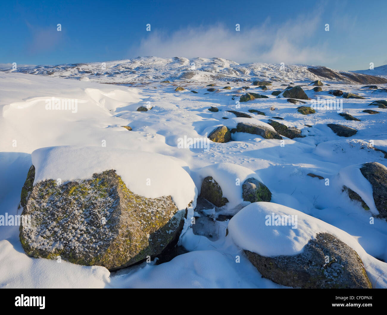 Parco Nazionale di Hardangervidda in inverno, paesaggi innevati, Hordaland, Norvegia Foto Stock