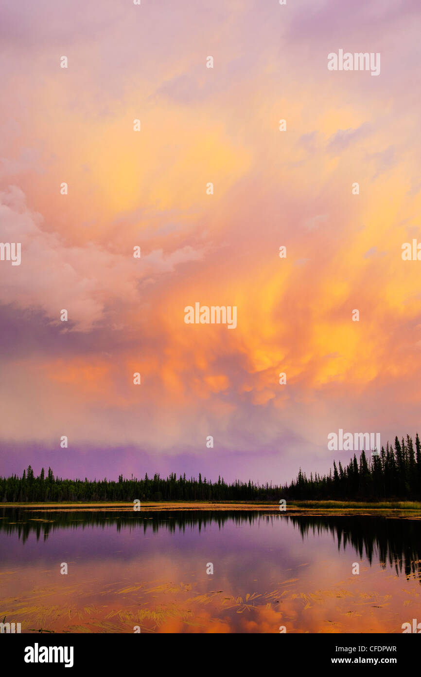 La foresta boreale tramonto, Yellowknife dintorni, Territori del Nord-ovest, nord del Canada Foto Stock