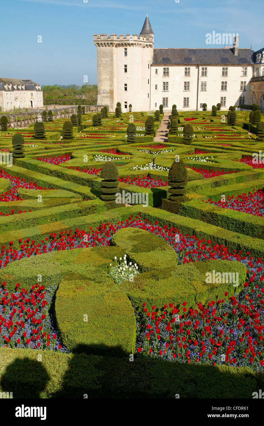 Chateau de Villandry e giardino, Sito Patrimonio Mondiale dell'UNESCO, Valle della Loira, Indre et Loire, Francia, Europa Foto Stock