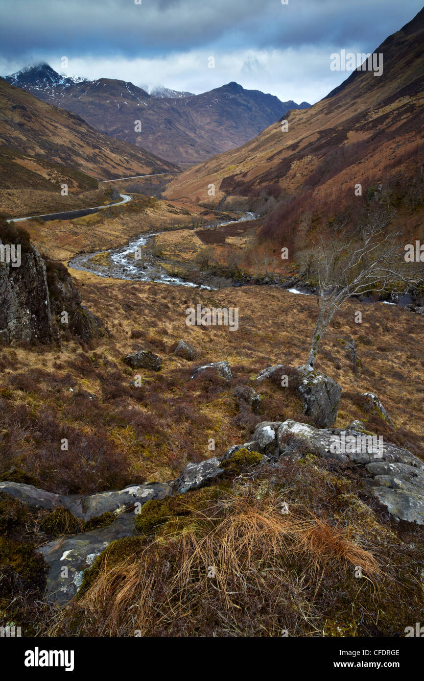 Un moody mattina di primavera a Glen Shiel, Lochalsh, Scotland, Regno Unito, Europa Foto Stock