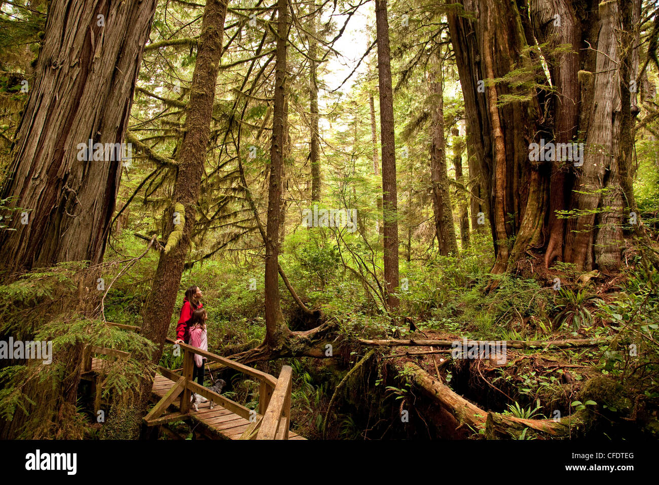 Madre e figlia check out Rainforst Trail, Pacific Rim National Park, vicino a Tofino, BC, Canada. Foto Stock