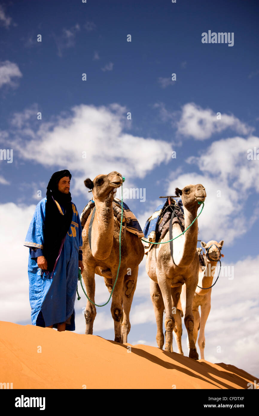 Berber l uomo nel manto azzurro con,cammelli sul crinale di una duna di sabbia in Erg Chebbi mare di sabbia vicino a Merzouga, Marocco Foto Stock