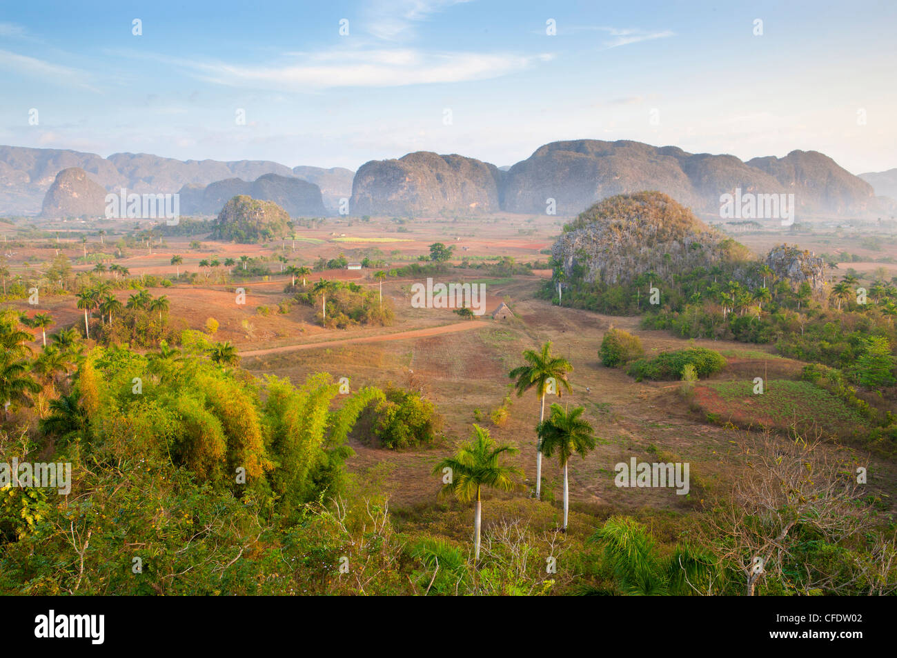 La mattina presto vista sopra il Vinales Valley, dall'Hotel Los gelsomini, Vinales, Pinar del Rio, Cuba, West Indies Foto Stock