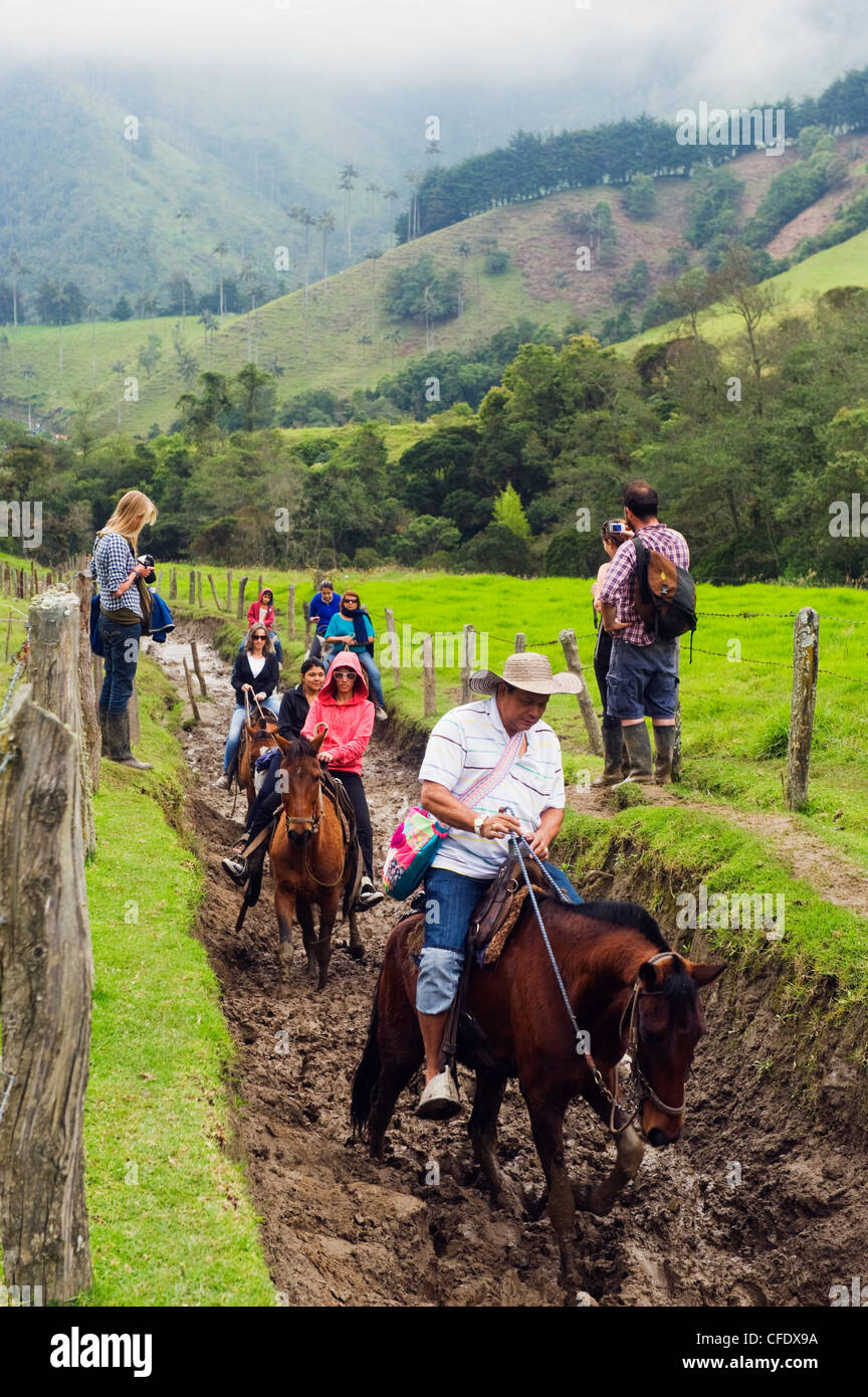 Equitazione in Cocora Valley, Salento, Colombia, Sud America Foto Stock