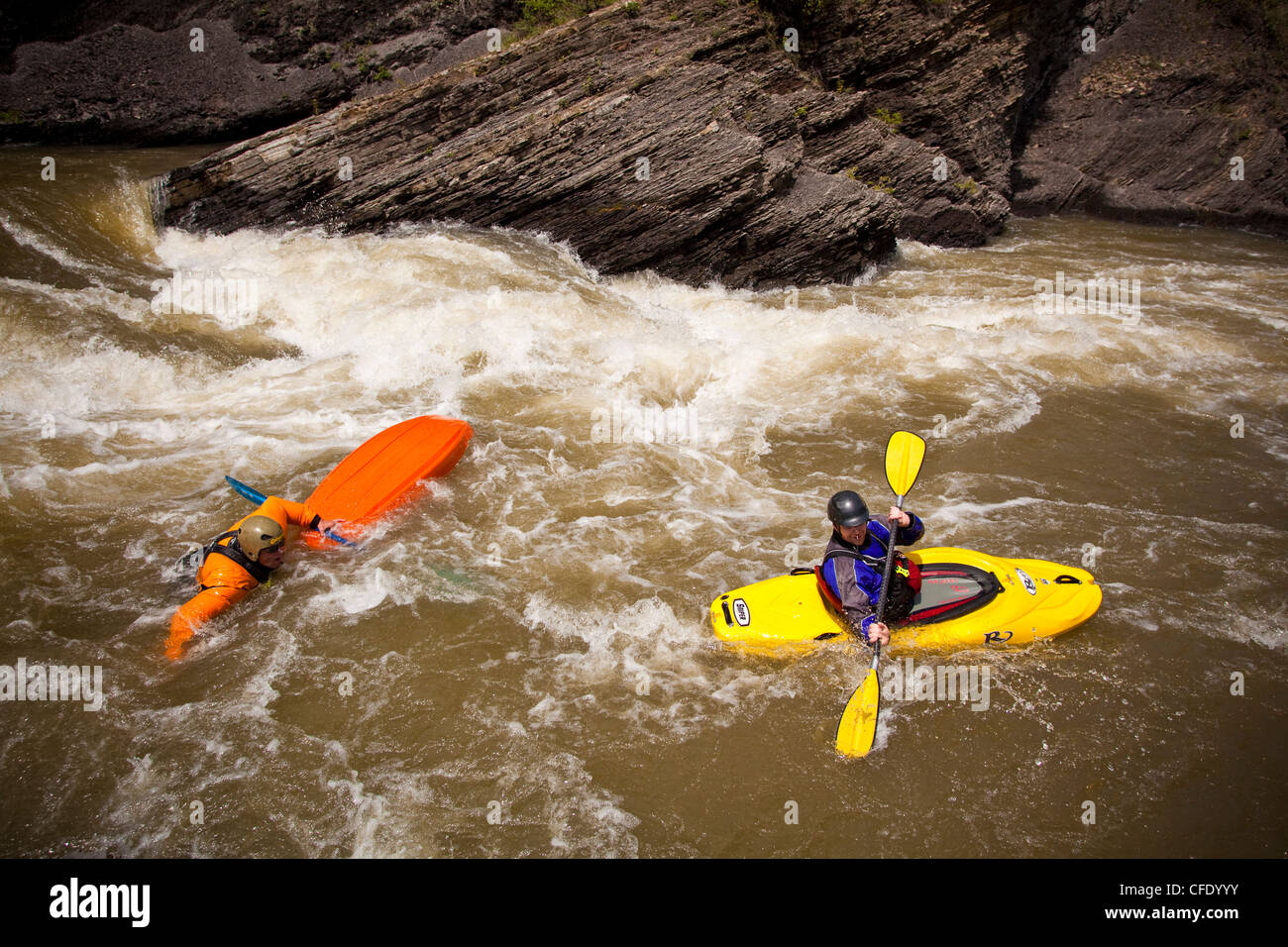 Un maschio di whitewater kayaker nuota dopo che rimanga impigliato in un rapido sul fiume Highwood, Alberta, Canada Foto Stock