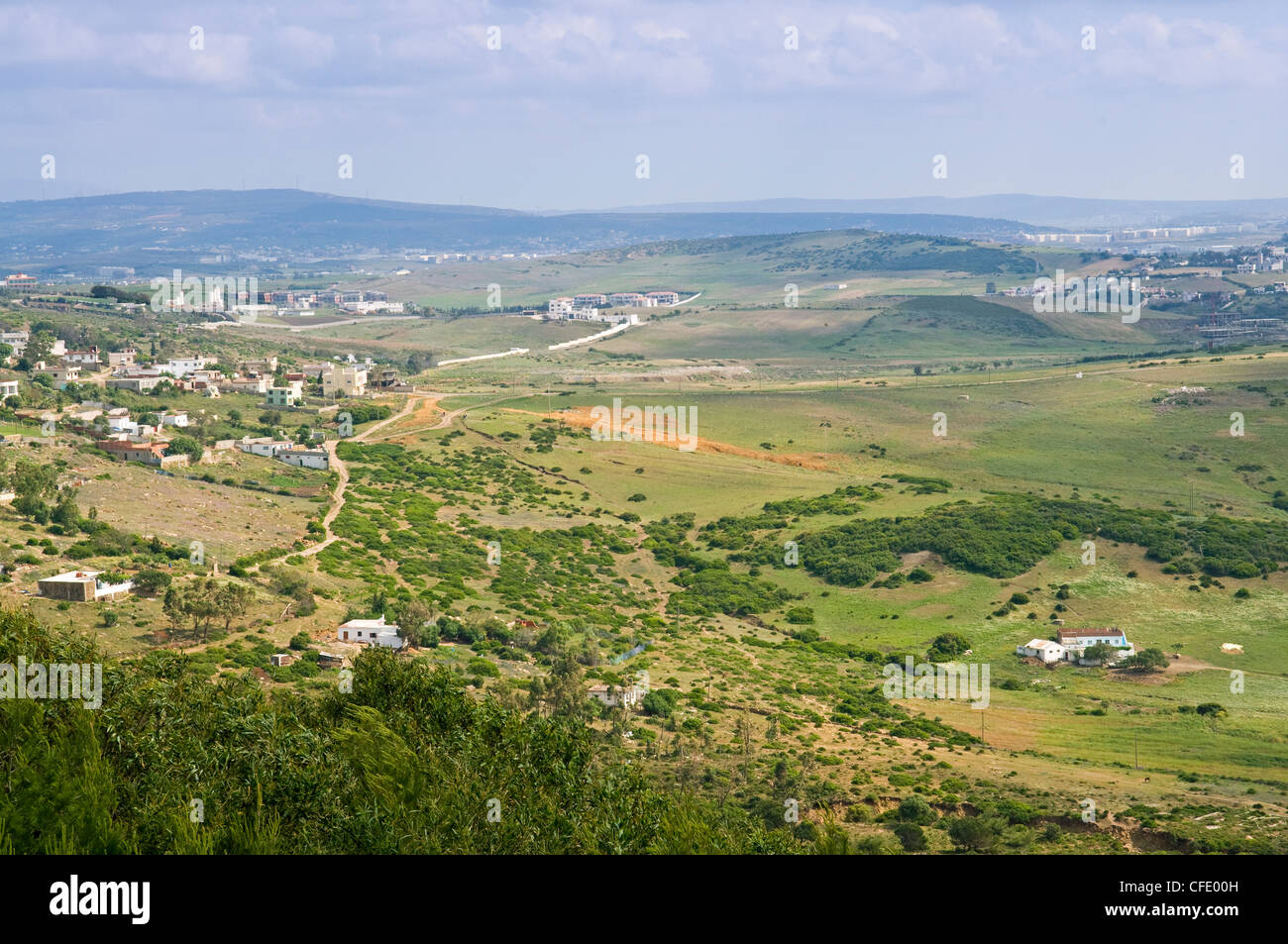 Campagna vicino a Tangeri, Marocco, Africa Settentrionale, Africa Foto Stock