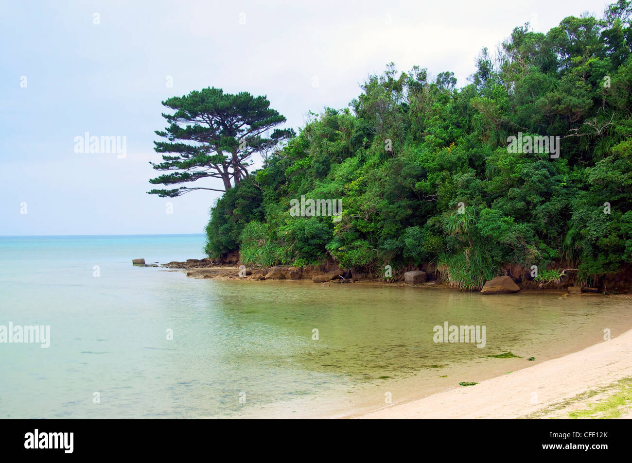 Spiaggia poco profonda e la vegetazione su un isola tropicale Foto Stock