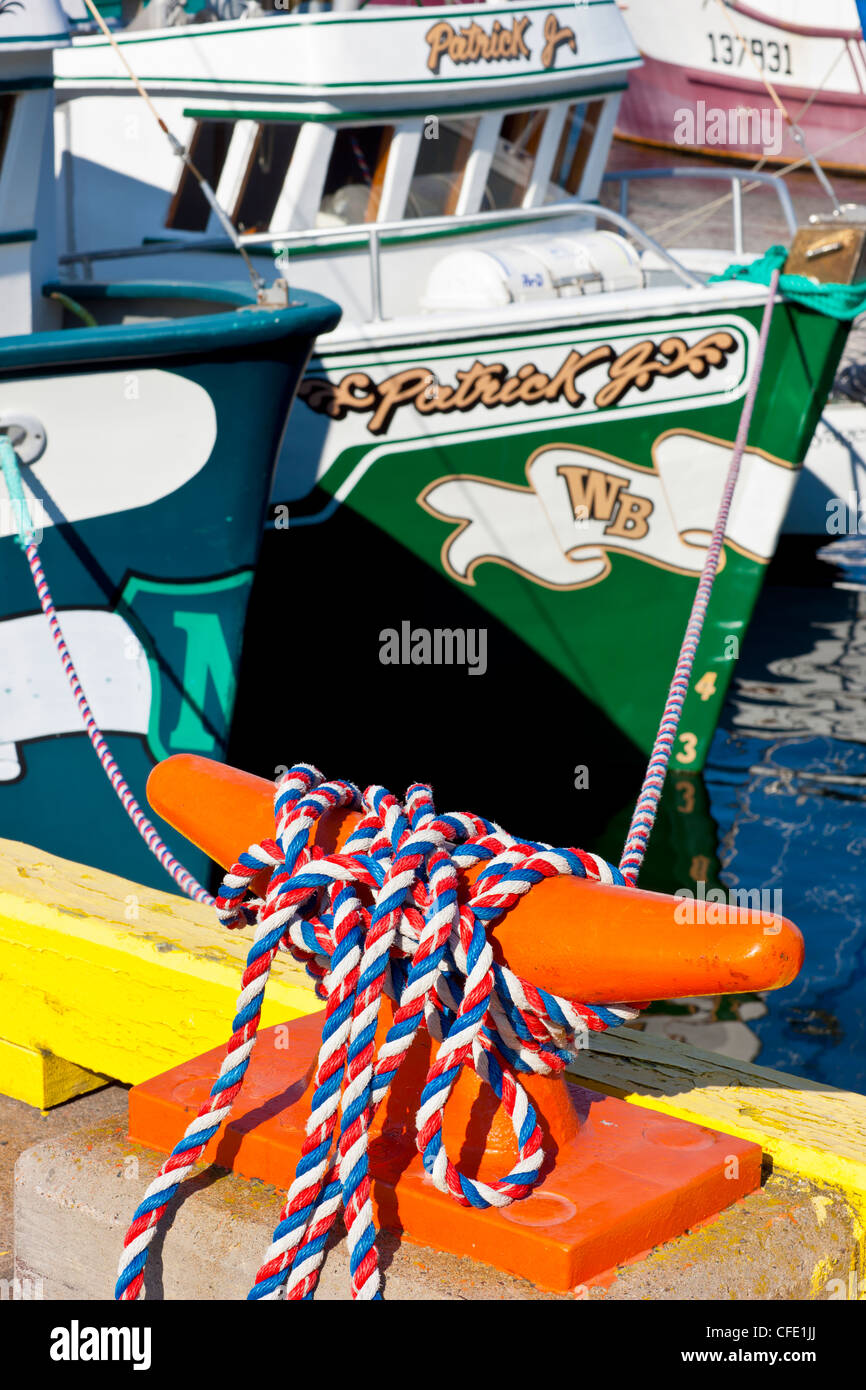 Barca da pesca su Southside di San Giovanni Porto, Terranova, Canada Foto Stock