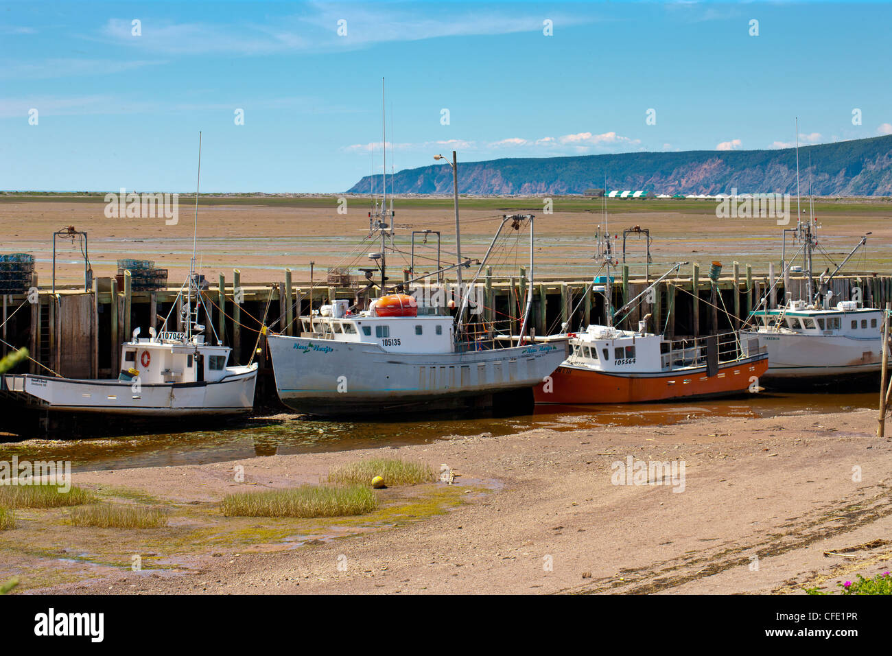 Barche da pesca a bassa marea, Avvocato Harbour e della Baia di Fundy, Nova Scotia, Canada Foto Stock