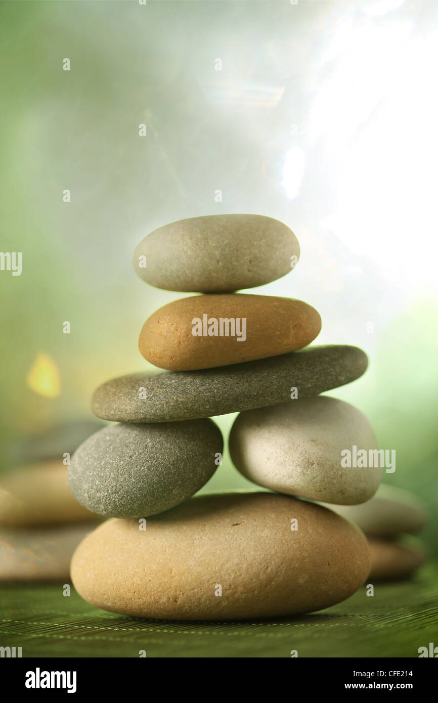 Giardino di roccia Foto Stock