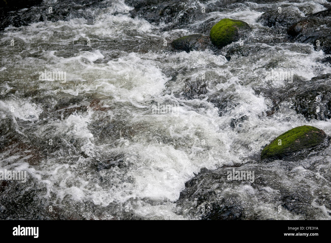 Fiume Dart, Dartmoor Devon, Inghilterra. Una maggiore velocità dello shutter per bloccare il movimento dell'acqua. Accoppiato con immagine n. CFE40R Foto Stock