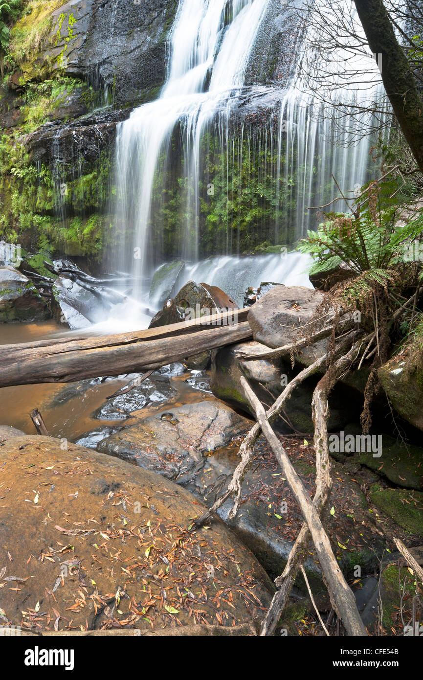 Poco Aire cade nel profondo del Grande Otway National Park, Victoria, Australia Foto Stock