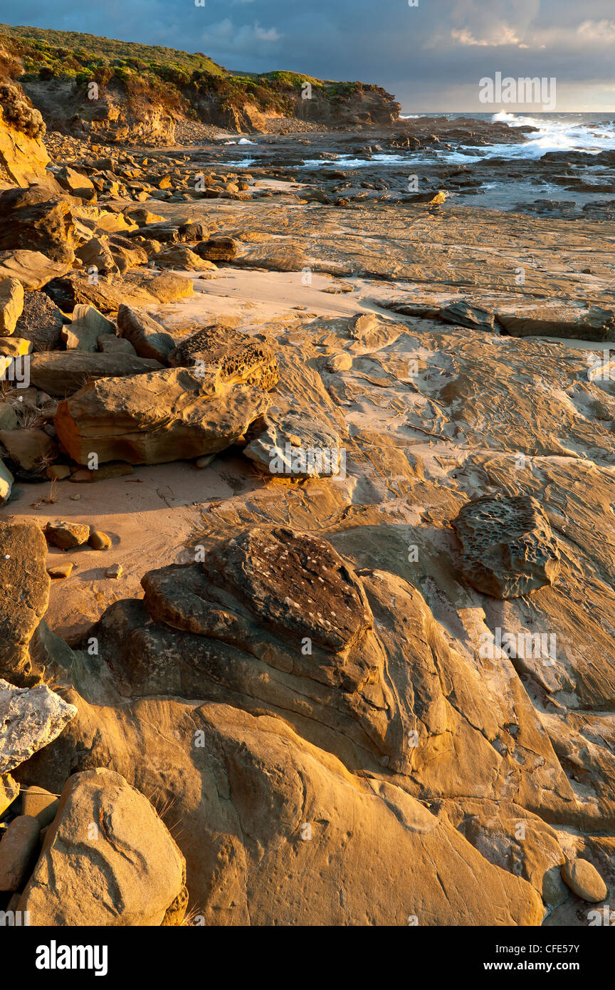 Costa vicino Punto Franklin, grande Otway National Park, Victoria, Australia Foto Stock