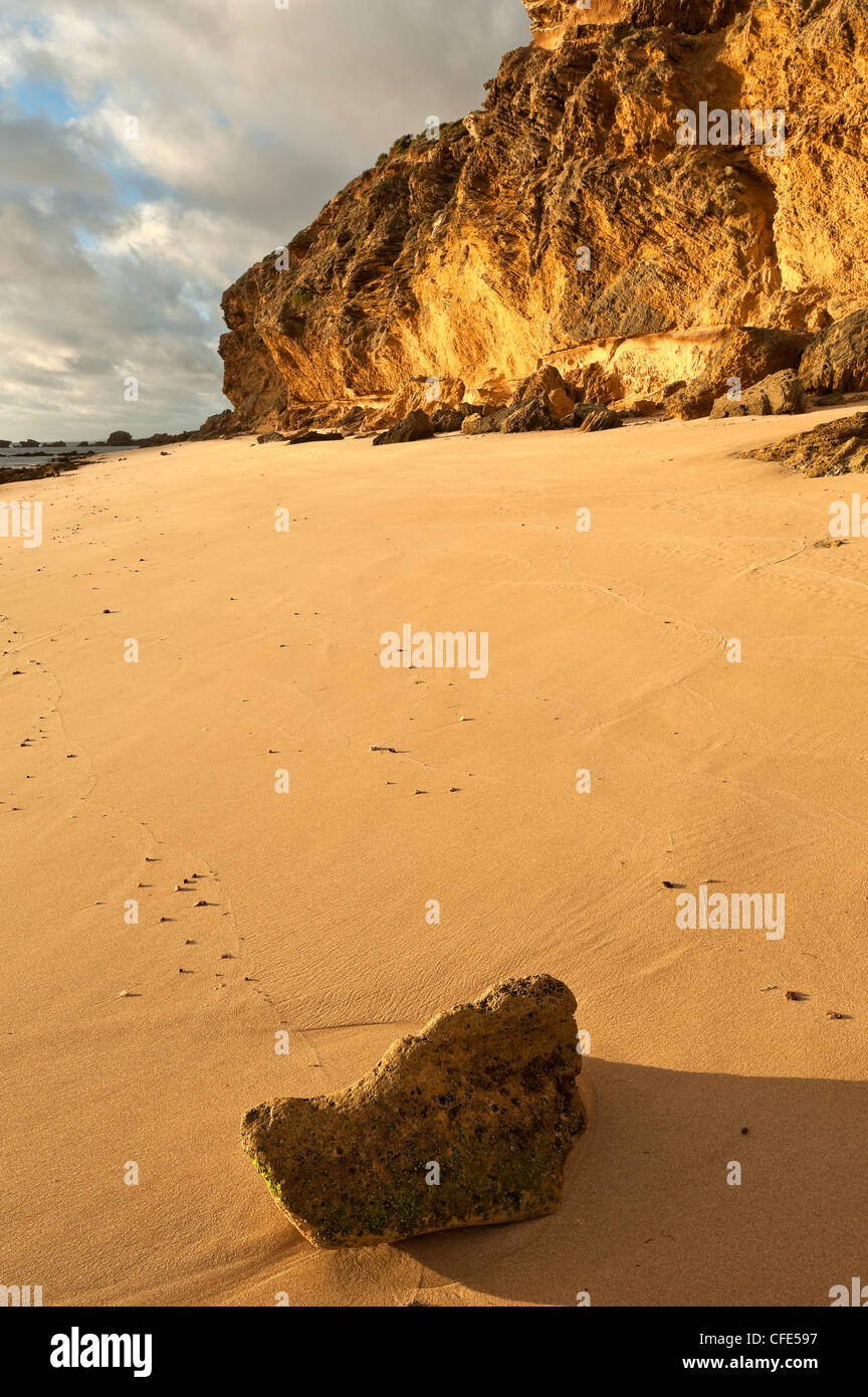 Roccia sulla sabbia sotto le scogliere a Fingal Beach, Penisola di Mornington National Park, Victoria, Australia. Foto Stock