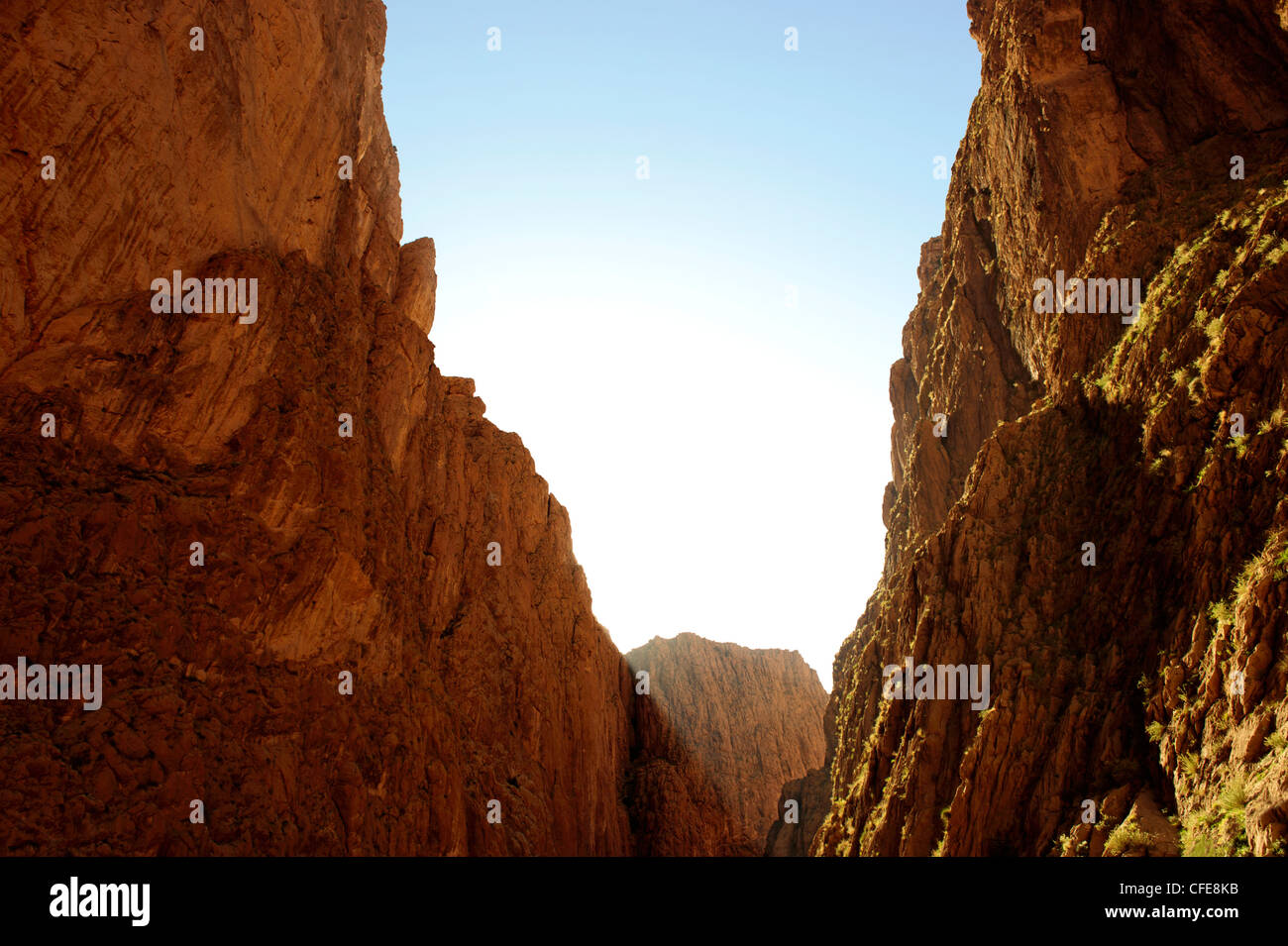 Todra Gorge, Atlante, Marocco Foto Stock