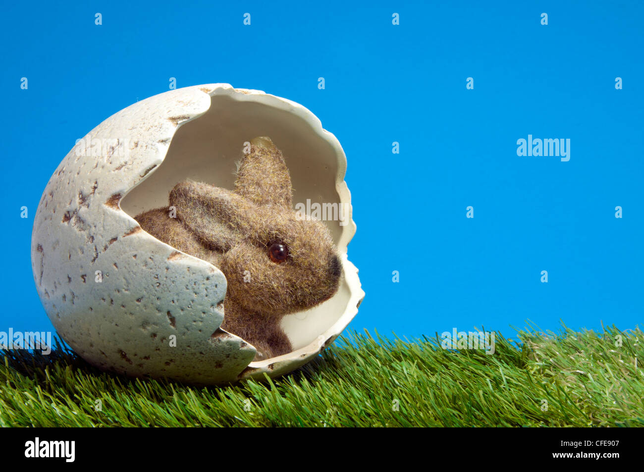 Coniglietto di pasqua all'interno di uovo con erba verde e blu cielo Foto Stock