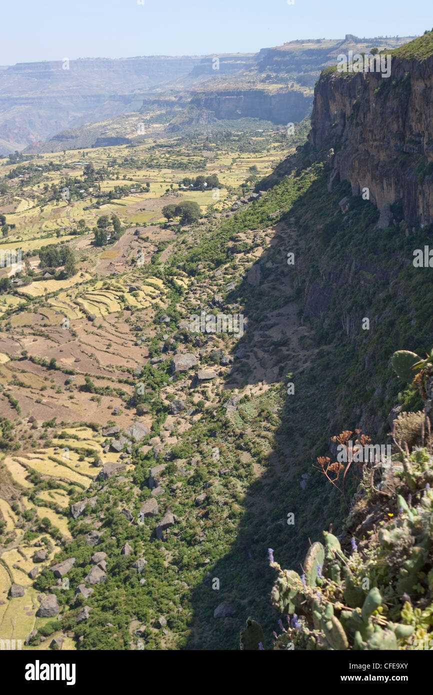 Debre Libanos Gorge. Affacciato sul canyon di arenaria e le piste con coltivazioni a terrazze. Etiopia. Foto Stock