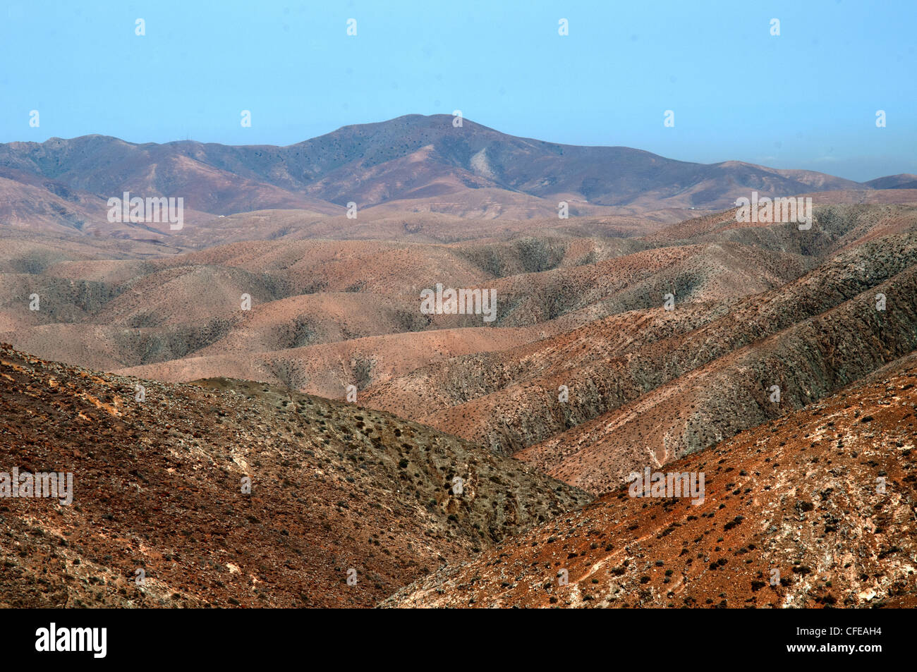 Fuerteventura betencuria parco nazionale Foto Stock