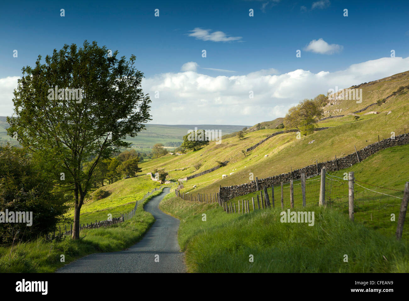 Regno Unito, Inghilterra, Yorkshire, Wensleydale, West Burton, stretto vicolo che conduce al Carlton Moor accanto a Walden Beck Foto Stock