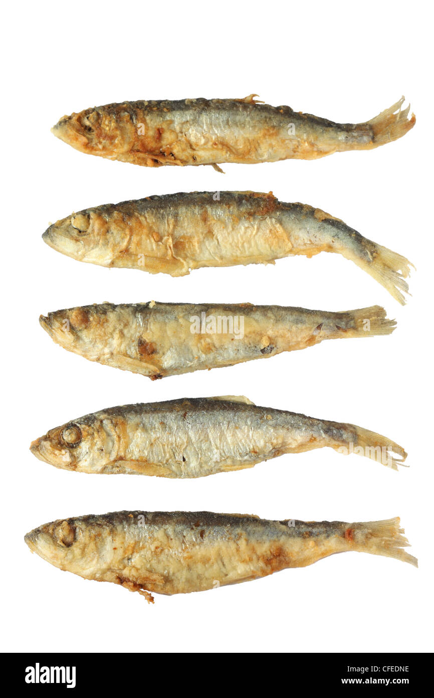 Cinque le fritture di pesce su sfondo bianco Foto Stock