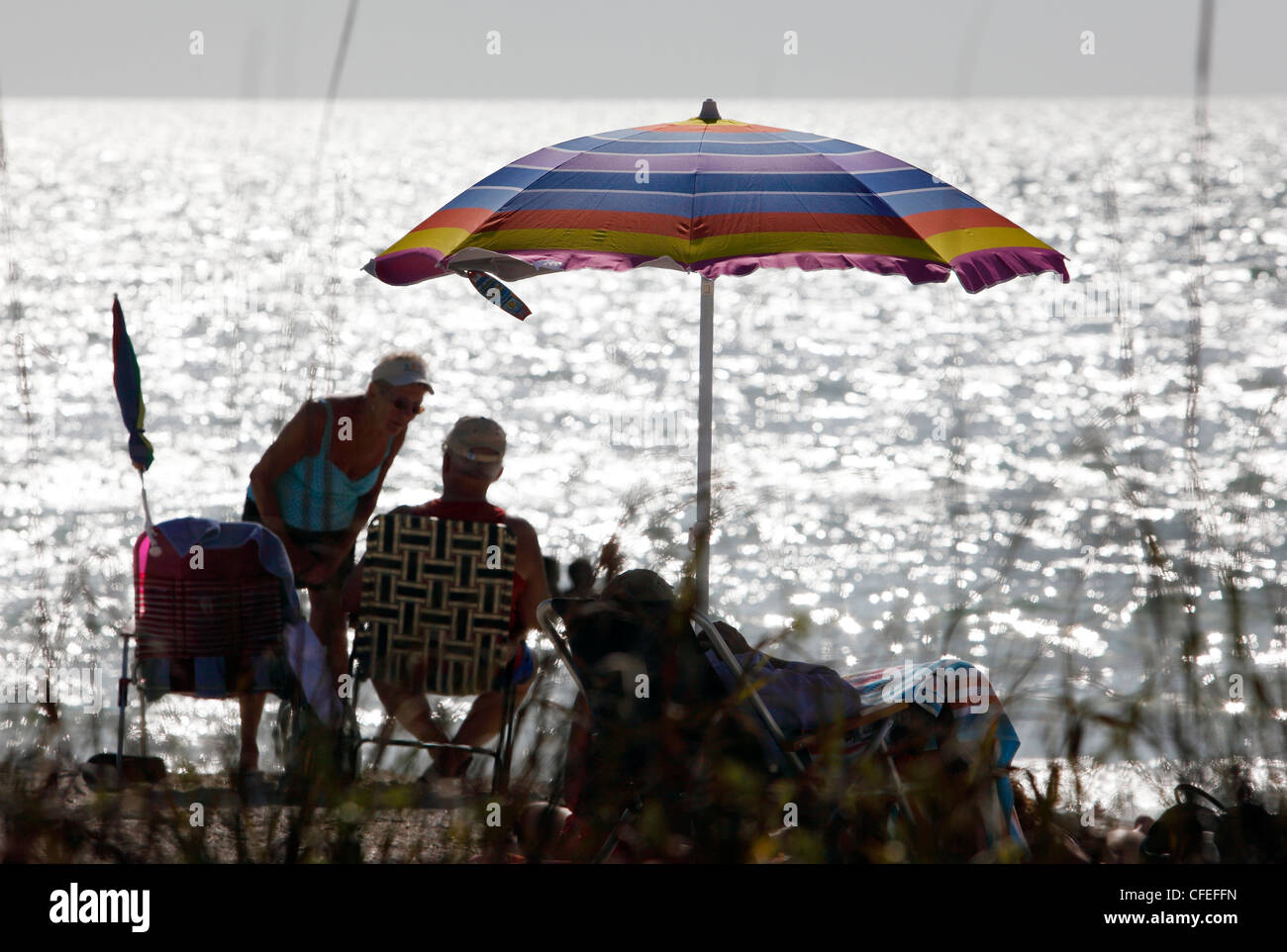 Giovane ombrellone costa del Golfo della Florida Foto Stock