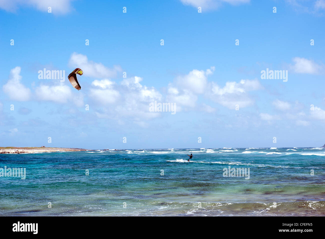 Parakiter in Orient Beach, Saint Martin, West Indies Foto Stock