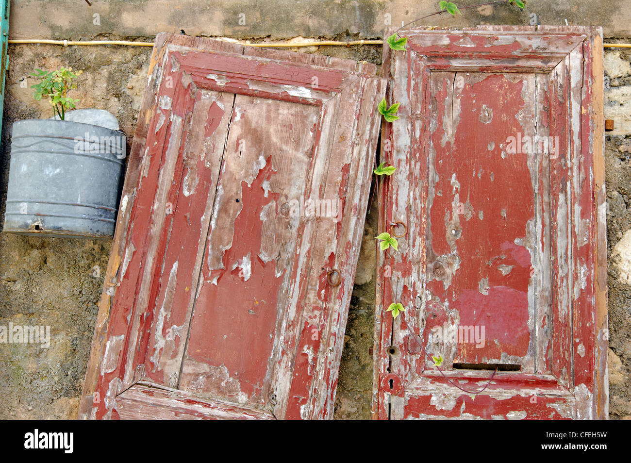 Vasi di fiori e piante intorno ad un vecchio e stagionato brown porta di legno sostenuto da un marrone arancione sbriciolamento muro di pietra Foto Stock