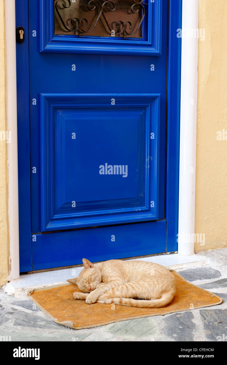 Bruno gatto dorme sul zerbino davanti a una porta blu nel bellissimo porto veneziano la città di Chania Foto Stock