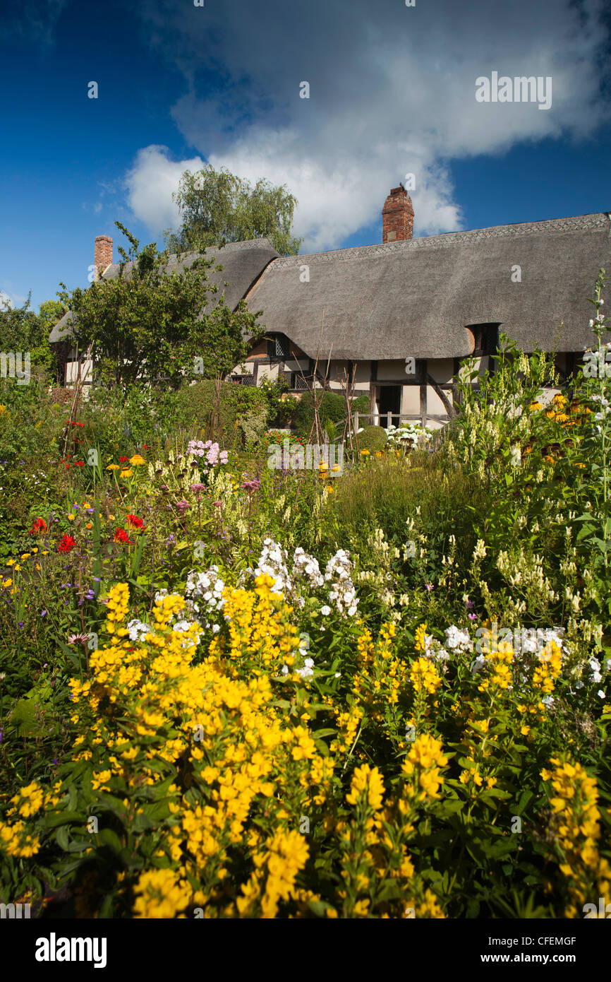Warwickshire, Stratford on Avon, Shottery, Anne Hathaway's Cottage giardino floreale nella luce del sole Foto Stock