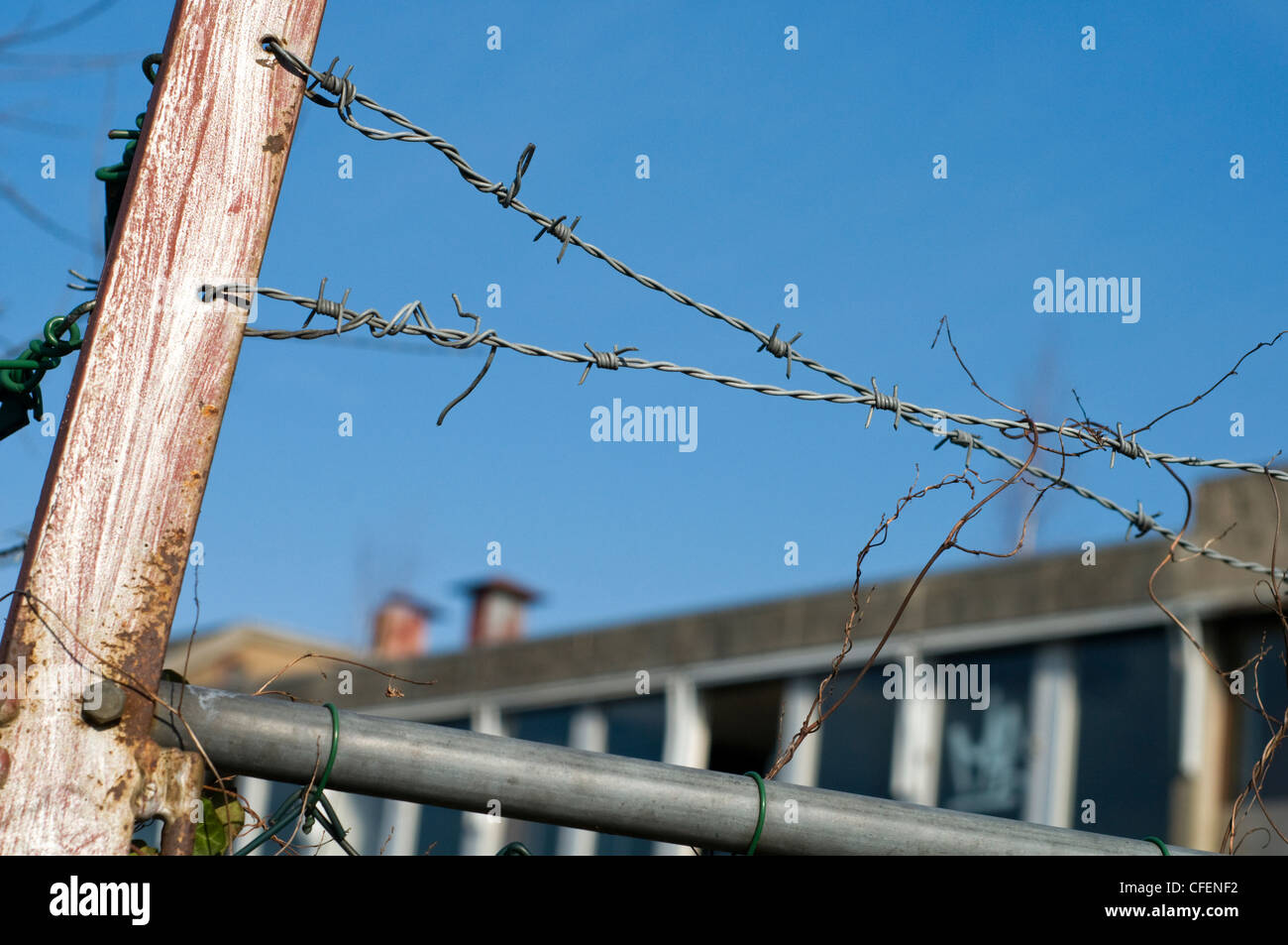 Una sezione di filo spinato di fronte ad un edificio abbandonato Foto Stock