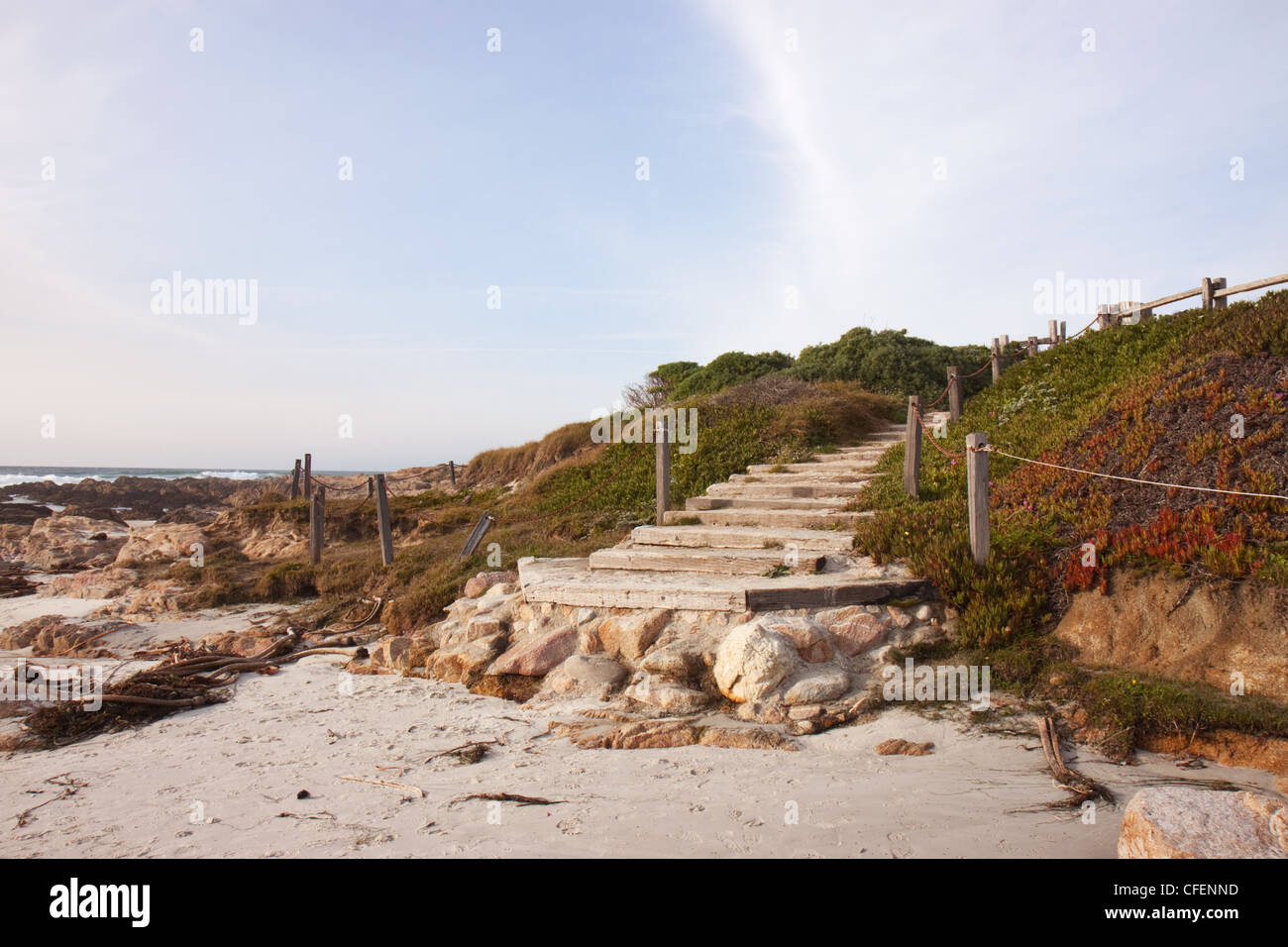 Scala di accesso alla spiaggia di Asilomar stato parco vicino Pacific Grove, California Foto Stock
