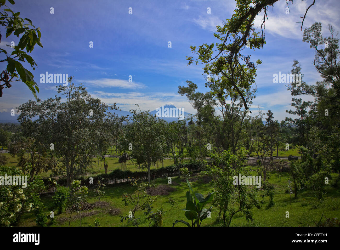 Vulcano Merapi attraverso gli alberi dal tempio di Borobudur, Dieng road, Java, Pacifico del Sud, Indonesia, Asia sud-orientale, Asia. Foto Stock