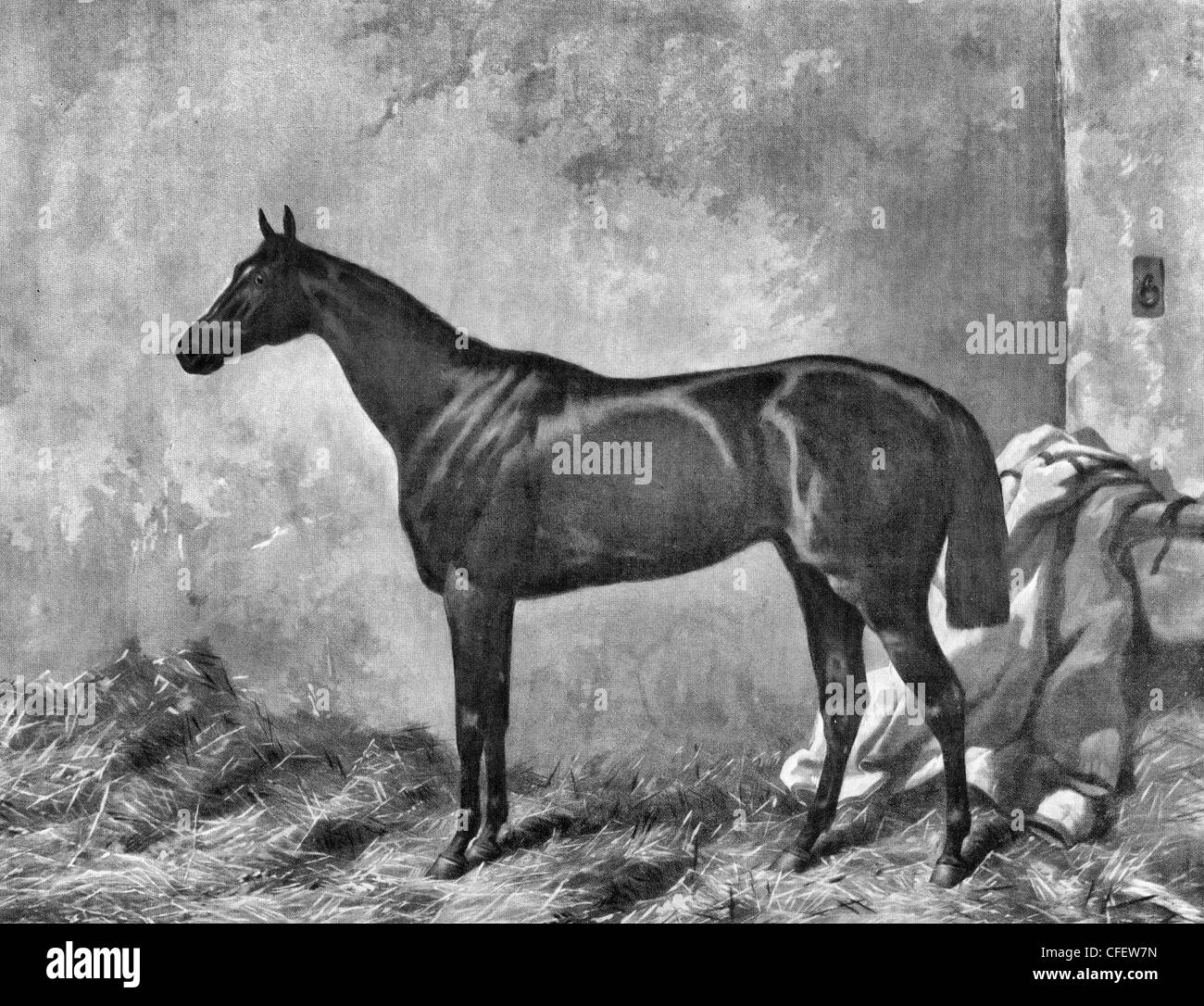 Eremita, vincitore del Derby picchetti a Epsom, 1867 Foto Stock