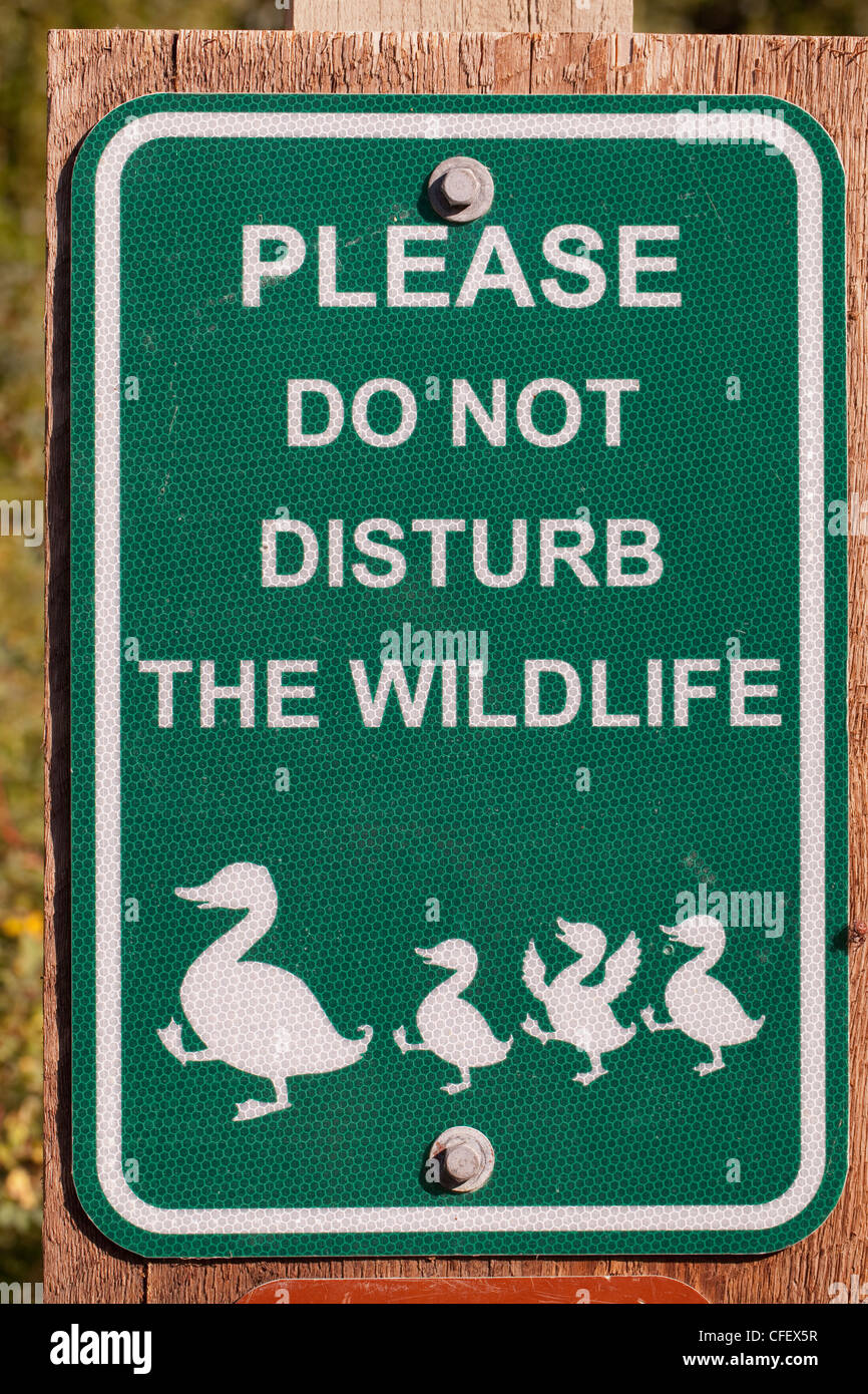 Segno alla protezione degli uccelli e di altri animali selvatici nei pressi di Kai Tai Laguna area natura di Port Townsend, Washington, Stati Uniti d'America. Foto Stock