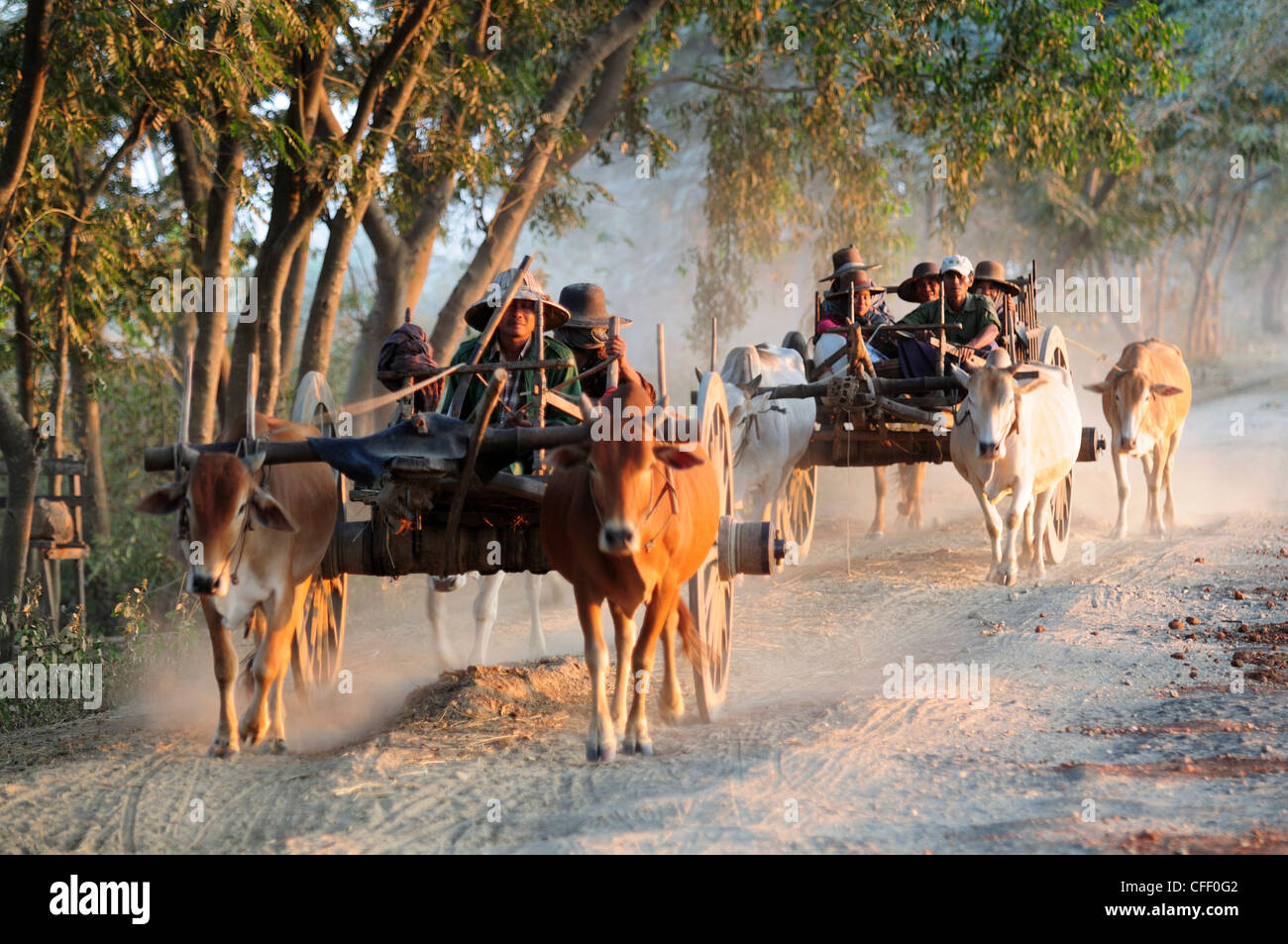 Ox carrello su una strada polverosa, Myanmar, Asia Foto Stock