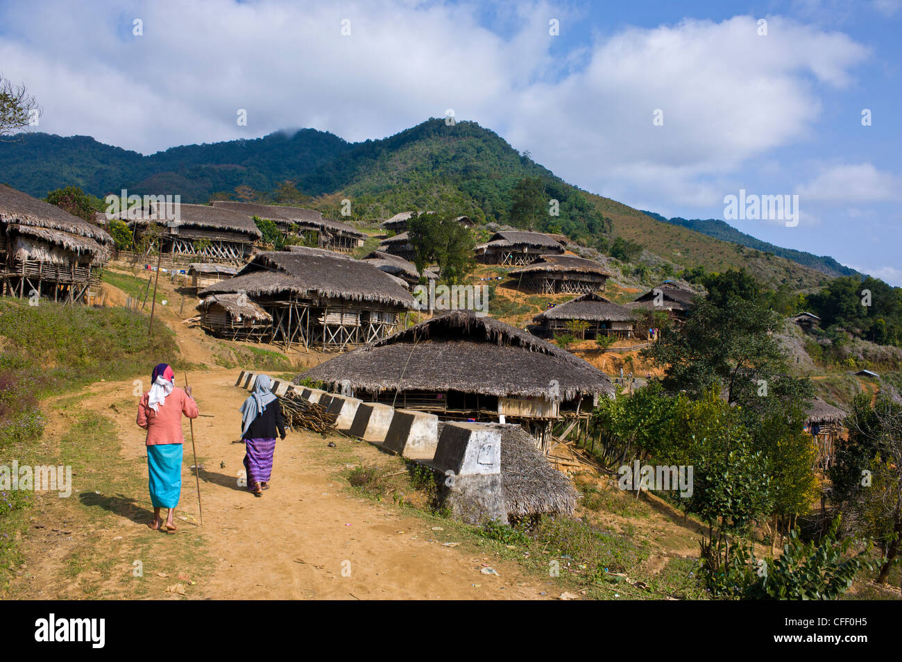 Villaggio Tradizionale, para vicino a lungo, Arunachal Pradesh, il Nordest dell India, India, Asia Foto Stock