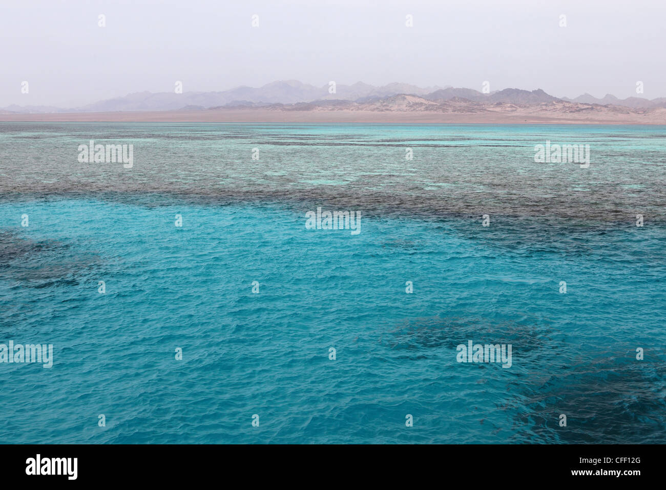 Chiare acque del Mar Rosso, Il Parco Nazionale di Ras Mohammed, Sinai South, Egitto, Africa Settentrionale, Africa Foto Stock