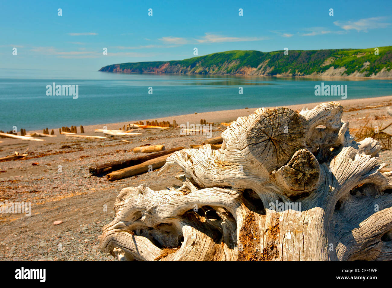 Driftwood sulla spiaggia, Avvocato Harbour e della Baia di Fundy, Nova Scotia, Canada Foto Stock