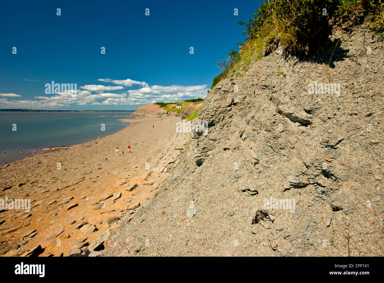 Falesie fossilifere di Joggins, Baia di Fundy, Nova Scotia, Canada Foto Stock