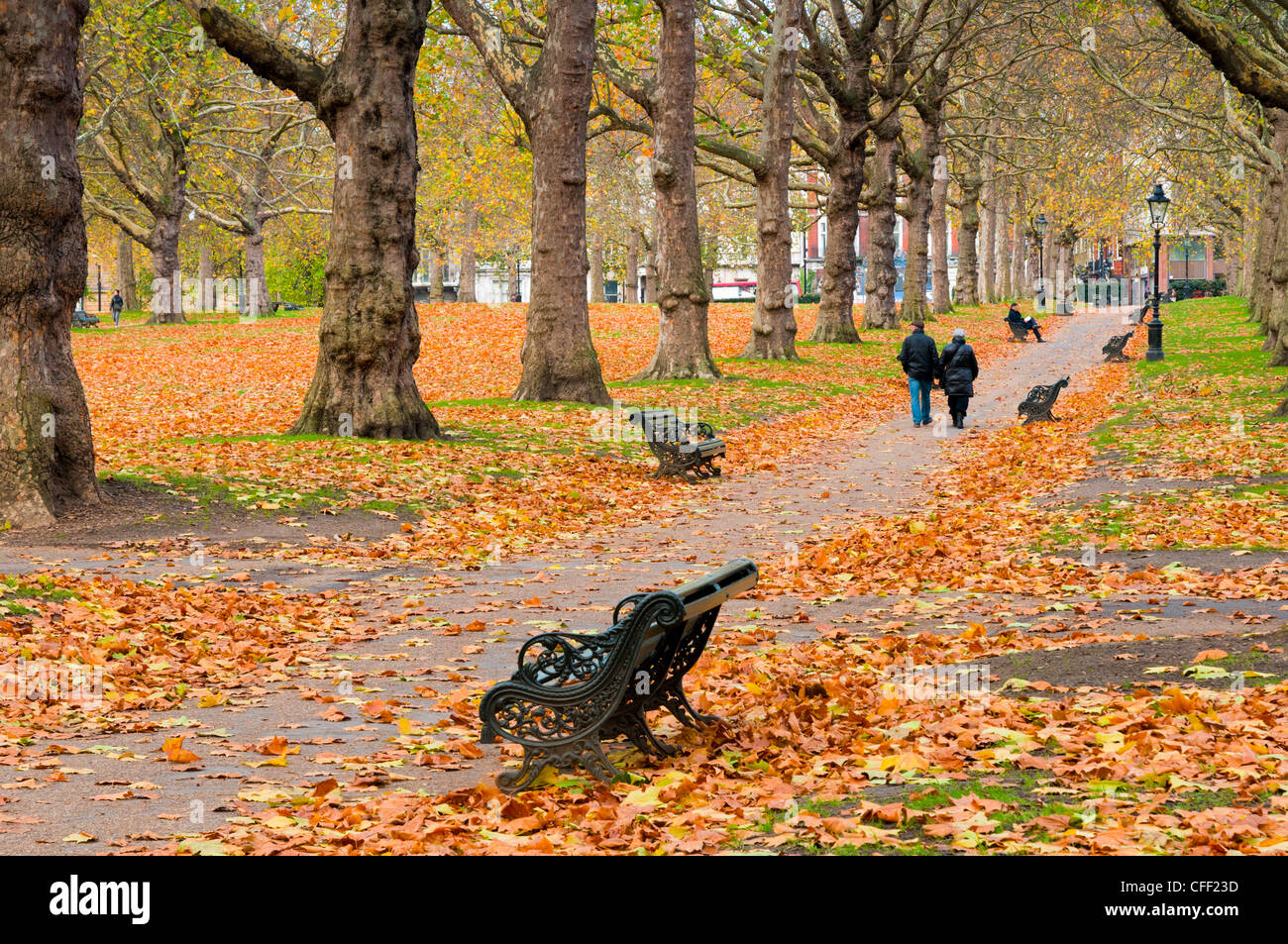 Parco verde in autunno, London, England, Regno Unito, Europa Foto Stock
