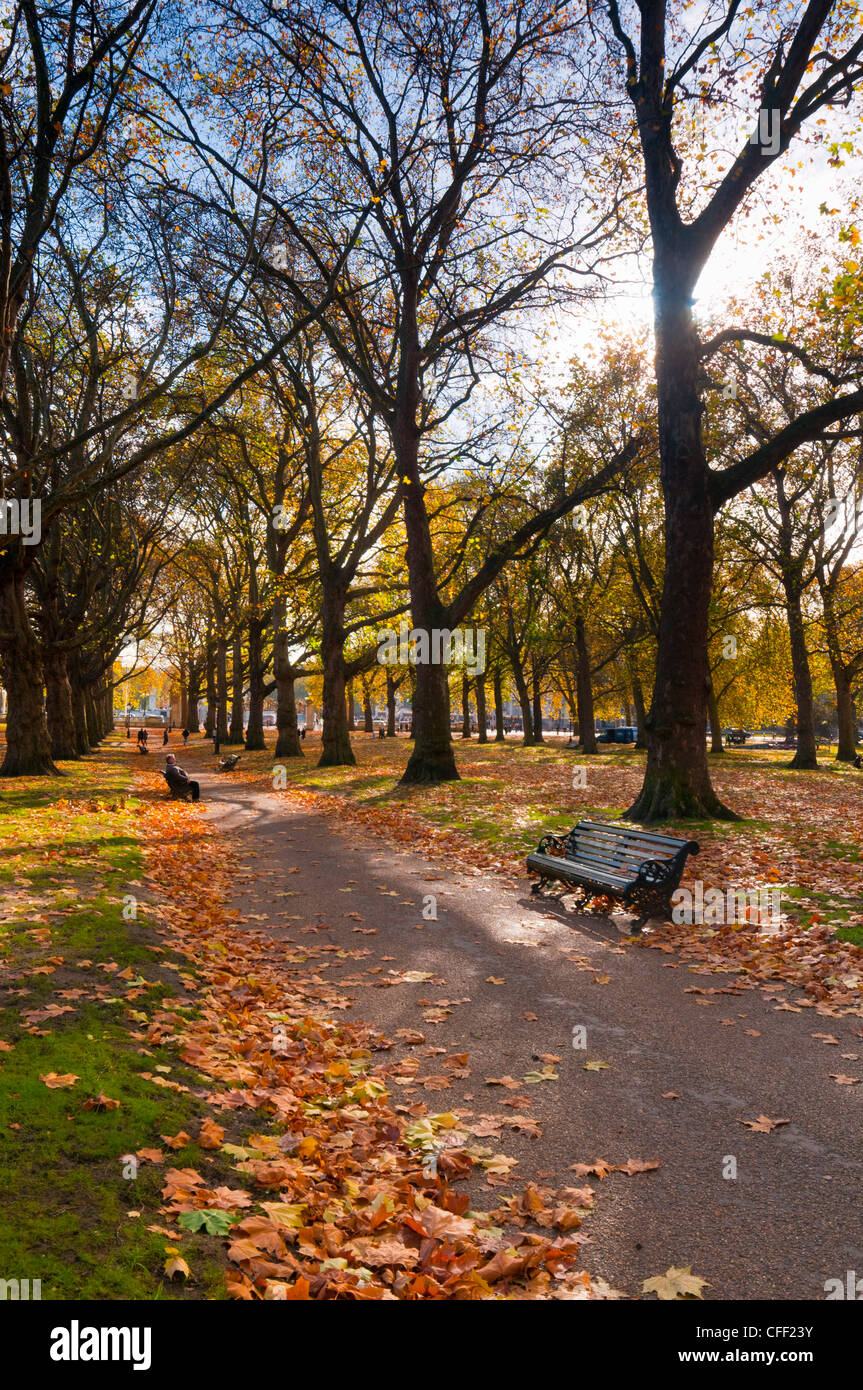Parco verde in autunno, London, England, Regno Unito, Europa Foto Stock