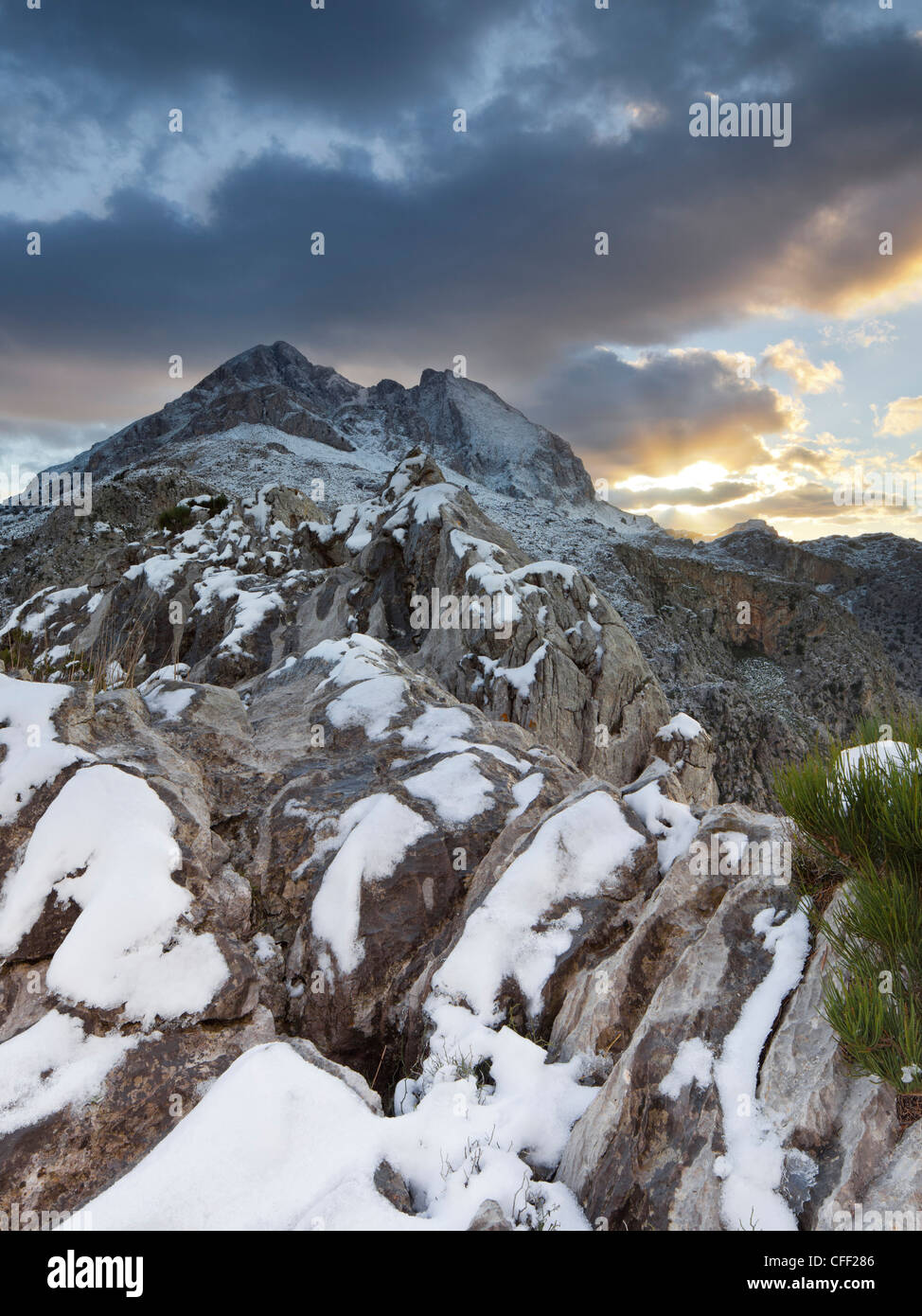 Coperta di neve montagna in serata, Puig Major, Puid de Ses Vinyes, Coll de Cals Reis, Serra de Tramuntana, Mallorca, Spagna, e Foto Stock