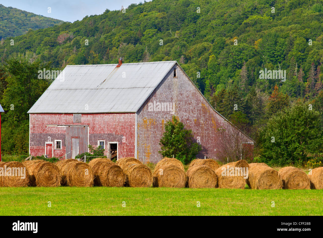I fienili e balle di fieno, Margaree, Cape Breton, Nova Scotia, Canada Foto Stock