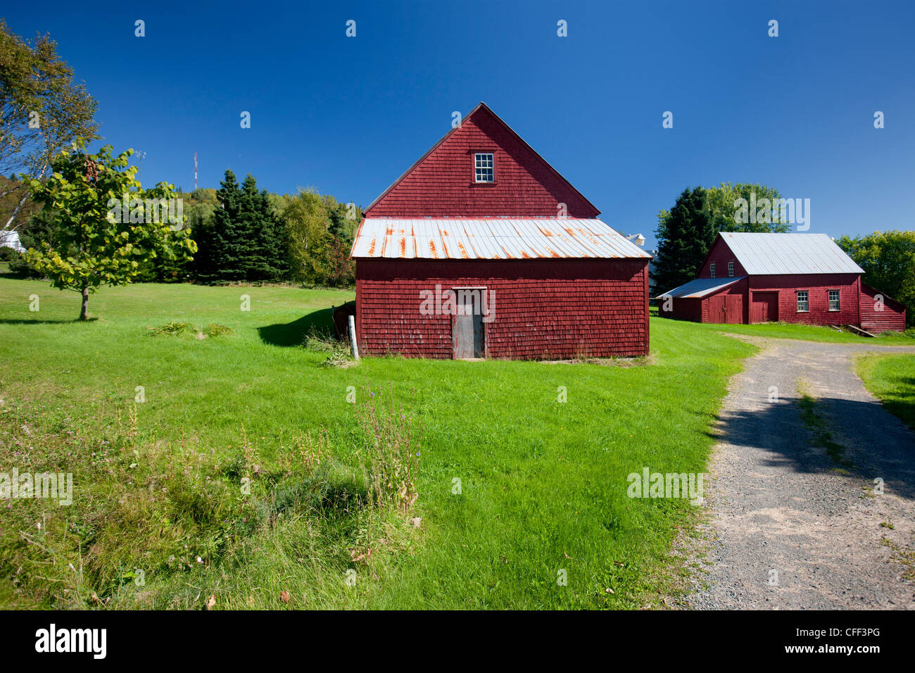 Red fienili in legno, Shigawake, Gaspe, Quebec, Canada Foto Stock