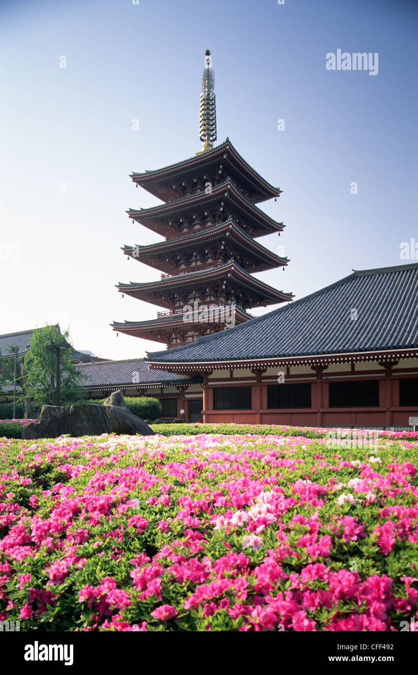 Giappone, Tokyo, Tempio di Asakusa Kannon Foto Stock